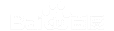 ��ɫAI�Ż�